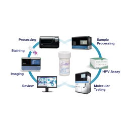 Hologic ThinPrep Stain Manuel utilisateur | Fixfr