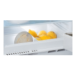 Ignis ARL 8GS2 CH Refrigerator Manuel utilisateur