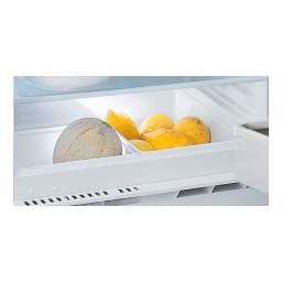 Ignis ARL 8GS2 CH Refrigerator Manuel utilisateur | Fixfr