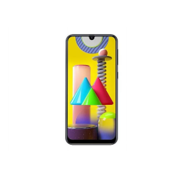 Samsung Galaxy M31 - SM-M315F Manuel du propriétaire | Fixfr