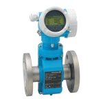 Endres+Hauser Flowmeter Proline Promag P Manuel utilisateur