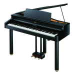 Roland RG-1F, RG-3F: Mode d'emploi + Chat IA et PDF