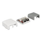 DeLOCK 86197 Network Wall Outlet 2 Port Cat.6A LSA Fiche technique