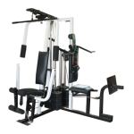 Weider WESY3931 Manuel utilisateur