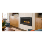 Heatilator Crave Series Gas Fireplace Installation manuel