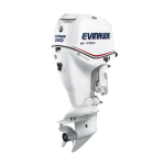 Evinrude EV 250 E-TEC 2007 Manuel du propri&eacute;taire