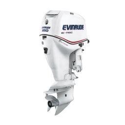 Evinrude EV 250 E-TEC 2007 Manuel du propriétaire | Fixfr