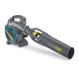 Champion Power Equipment 060-2385-8-100442 Manuel utilisateur | Fixfr