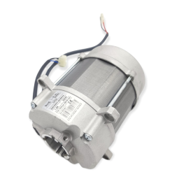 Riello BS4/M 1/230/50 Manuel utilisateur | Fixfr