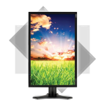 NEC MultiSync&reg; P221W Manuel utilisateur