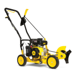 Champion Power Equipment 200942 79cc Walk Behind Lawn Edger Manuel utilisateur