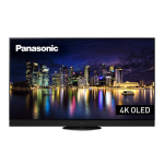 Panasonic TX48MZT1506 Mode d'emploi