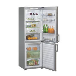 Ignis TGA 3310NF/EG Fridge/freezer combination Manuel utilisateur | Fixfr