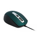 DeLOCK 12617 Optical 5-button Mouse USB Type-A green Fiche technique