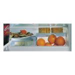 Bauknecht UVI 1950 A++ LH Refrigerator Manuel utilisateur