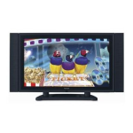 ViewSonic ND4210w Flat Panel Television Manuel utilisateur