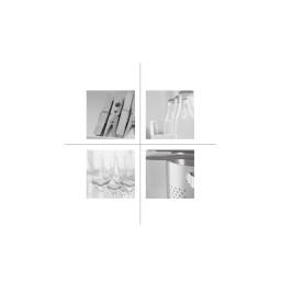 Bauknecht GKN ELITE 2 Freezer Manuel utilisateur | Fixfr