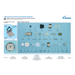 Nordson Regulator, Diaphragm, 0-900 psi Manuel du propriétaire | Fixfr