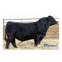 Bull the DRWG117 and DRWG121 expansion units Manuel utilisateur | Fixfr