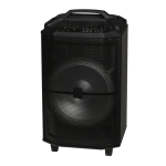 Denver TSP-400 12&rdquo; Bluetooth trolley speaker Manuel utilisateur