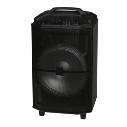 Denver TSP-400 12” Bluetooth trolley speaker Manuel utilisateur | Fixfr