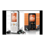 Sony Ericsson W610i Manuel utilisateur