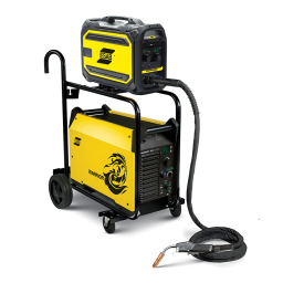 ESAB Warrior™ 500i cc/cv Manuel utilisateur | Fixfr