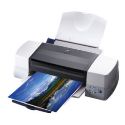 Epson Stylus Photo 1270 Manuel d'Utilisateur: AI Chat | Fixfr