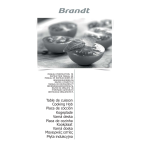 Brandt FB310 Manuel utilisateur