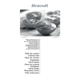 Brandt FB310 Manuel utilisateur | Fixfr