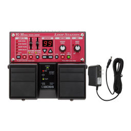 BOSS RC-30 Looper: Chat IA & Téléchargement PDF | Fixfr