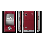 Sony Ericsson W910i Manuel utilisateur