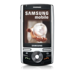 Samsung SGH-I710 Manuel utilisateur