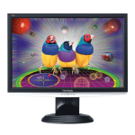 ViewSonic VX1940w : Manuel d'utilisateur + IA