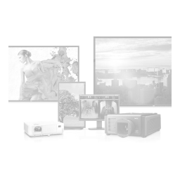 NEC Diamond Pro 730 Manuel utilisateur | Fixfr