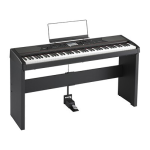 Korg HAVIAN 30 Manuel utilisateur