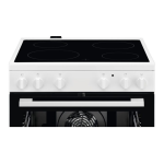 FEH50P2 Notice d'Utilisation Electrolux + AI Chat