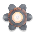 esotec Fleur de lotus : Mode d'emploi | AI Chat &amp; PDF