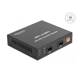 Delock 10GBase-R SFP+ : Chat IA & PDF | Fixfr
