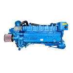 Sol&eacute; Diesel SDZ-205 Engine Manuel utilisateur