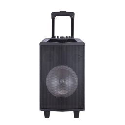 Denver TSP-304 8” Bluetooth trolley speaker Manuel utilisateur | Fixfr