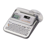 CASIO CW-L300 Manuel d'utilisation | AI Chat &amp; PDF Access