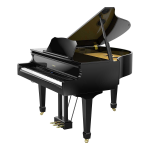 Roland GP609 Piano Num&eacute;rique: Mode d'emploi + IA
