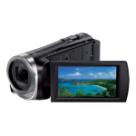 Sony HDR-CX450 Manuel utilisateur