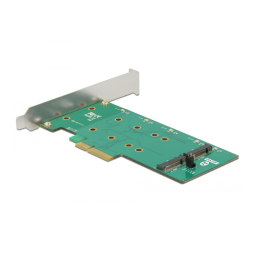 DeLOCK 89536 PCI Express Card > 2 x internal M.2 Key B Fiche technique | Fixfr