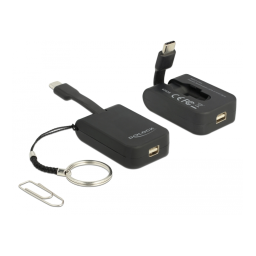 Delock 64121 Adaptateur USB-C vers mini DP + Chat IA et PDF | Fixfr