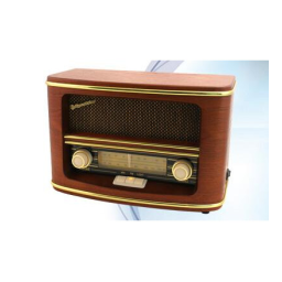 ROADSTAR HRA-1500/N Manuel d'Utilisateur + Chat IA | Fixfr