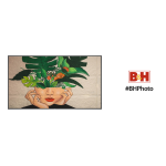 Philips D-Line 65BDL4510D: Chat IA &amp; T&eacute;l&eacute;chargement PDF