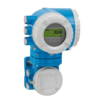 Proline Promag H 500 Manuel d'installation | AI Chat &amp; PDF Access