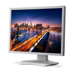 NEC MultiSync P212 Manuel utilisateur | Fixfr